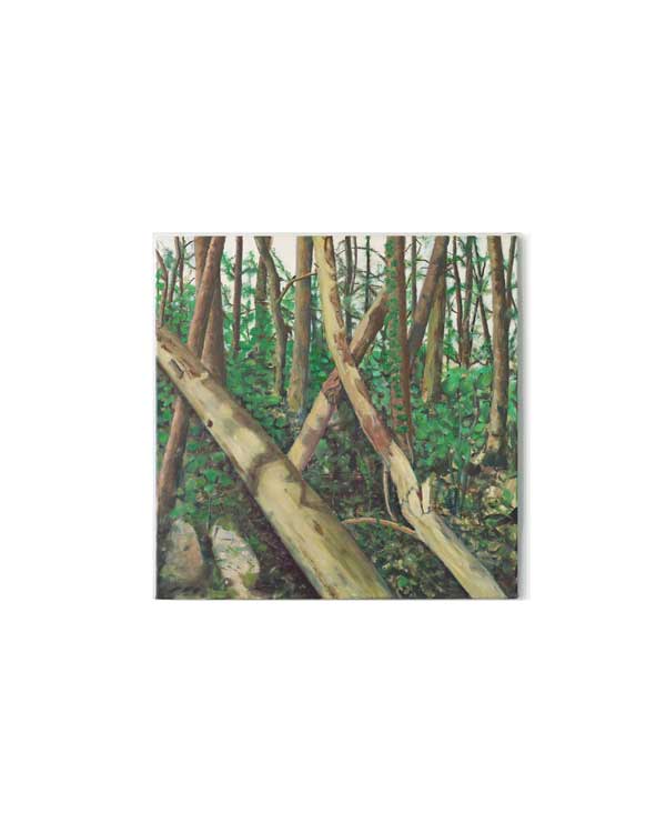 Painting, Decay and Hope VIII, oil on linen canvas, 60x60cm, Villefranche sur Cher, Olivier Furter 2024